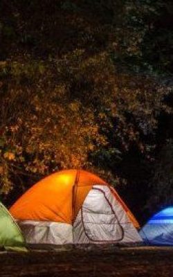 six-camping-tents-in-forest-699558-1